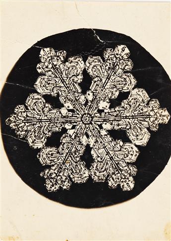 WILSON A. SNOWFLAKE BENTLEY (1865-1931) A group of 4 vintage snow crystals, one of which is signed and inscribed.